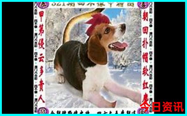 养马岛有什么好玩的景点